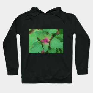 Tree Spinach Hoodie